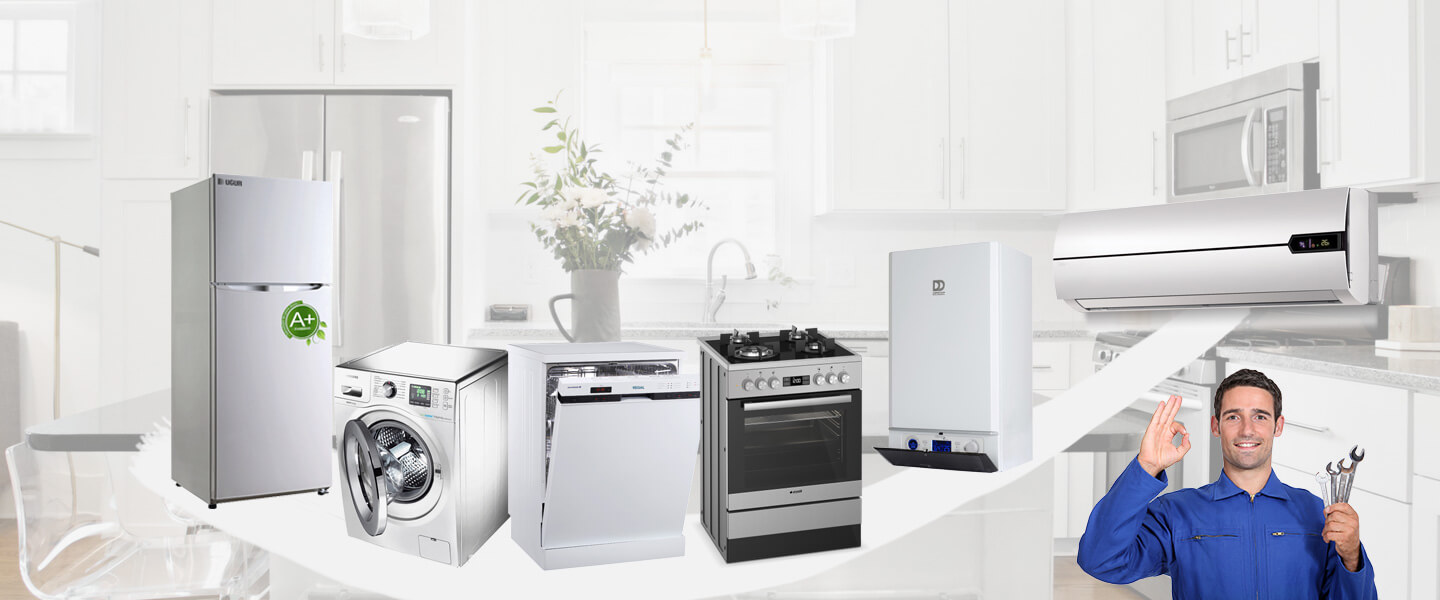 Düzce Grundig Servisi